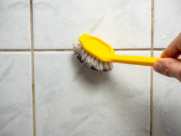 Best Local Mold Removal Service  in Marietta Alderwood, WA