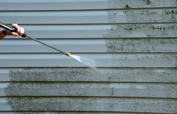 Best Toxic Mold Removal  in Marietta Alderwood, WA