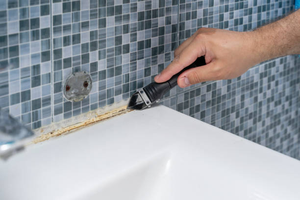 Best Mold Testing  in Marietta Alderwood, WA