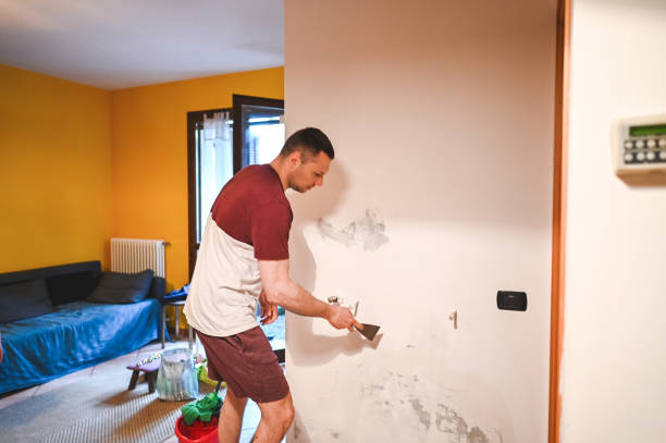 Best Same-Day Mold Removal  in Marietta Alderwood, WA