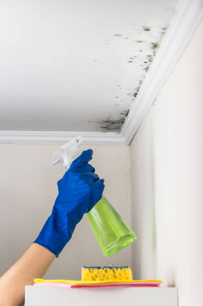 Best Mold Testing  in Marietta Alderwood, WA